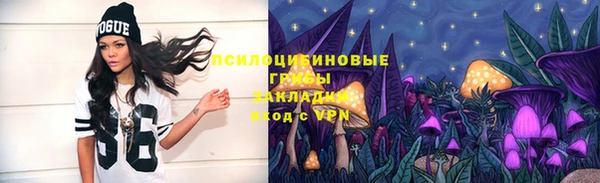 стаф Дмитровск