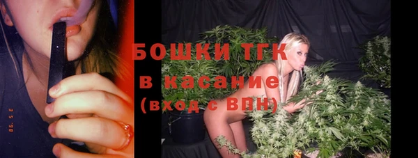гашик Дмитров