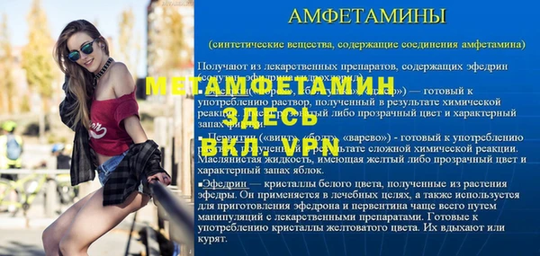 гашик Дмитров