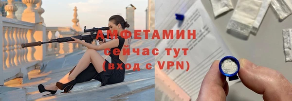 гашик Дмитров