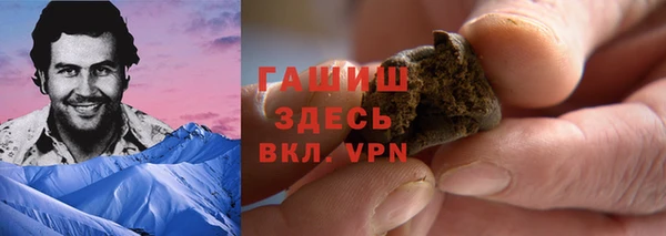 стаф Дмитровск