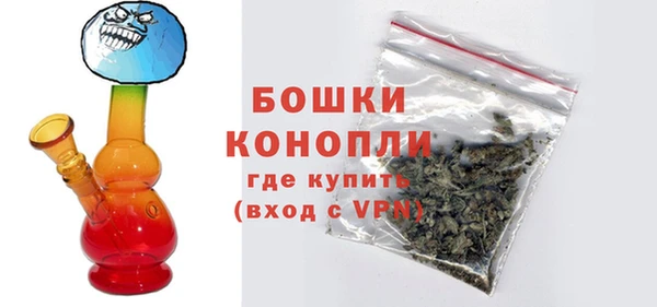 гашик Дмитров