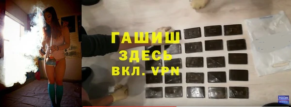 стаф Дмитровск