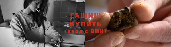 гашик Дмитров