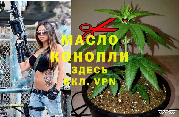 стаф Дмитровск