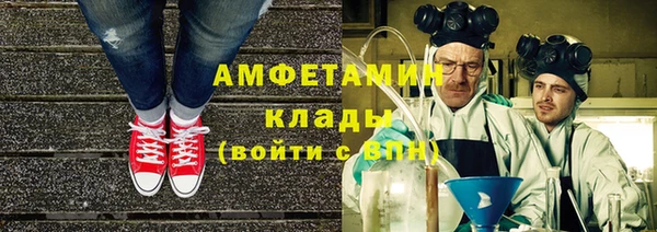 гашик Дмитров