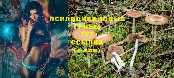 стаф Дмитровск