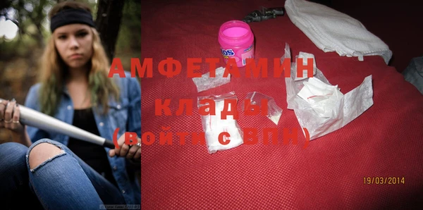 стаф Дмитровск