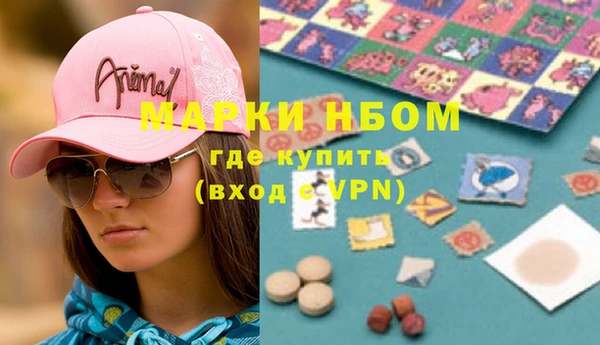 гашик Дмитров