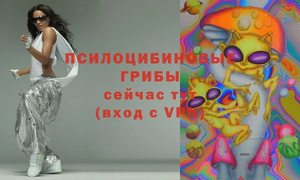 стаф Дмитровск