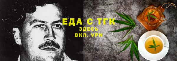 гашик Дмитров