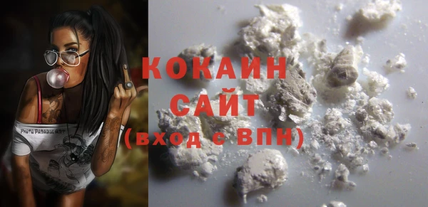 стаф Дмитровск